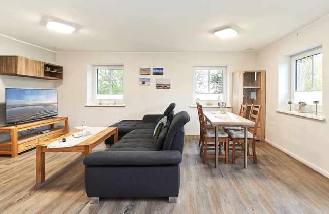 Deichläufer, Deutschland