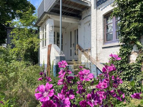 Deichliebe ÖKOlogisch