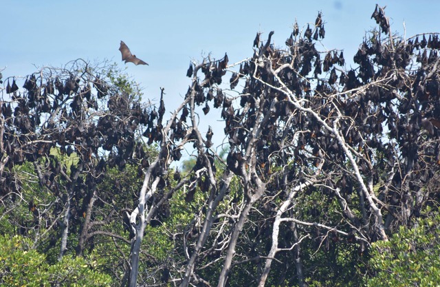 Del Mar Home Stay and Cafe