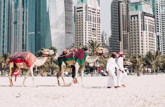 Deluxe 1 Bedroom w/Infinity Pool Near DWTC