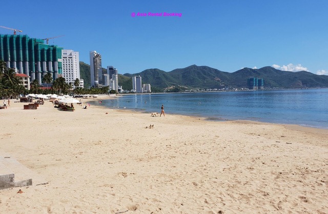 Deluxe Panoramic Ocean & City View Apartment (2424)