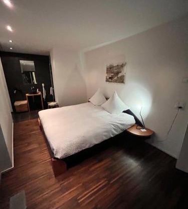 Deluxe Zimmer in Privatwohnung an zentraler Lage