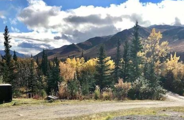 Denali Park View House, 4-Bedroom