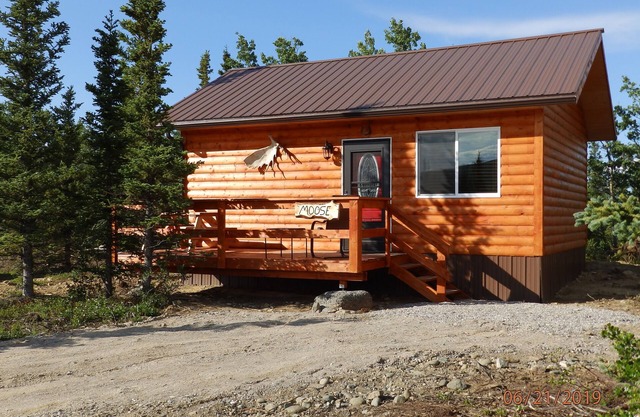 Denali Wildlife Moose Cabin Luxury with a touch of Rustic