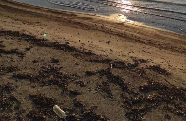 Denize sıfır taş villa