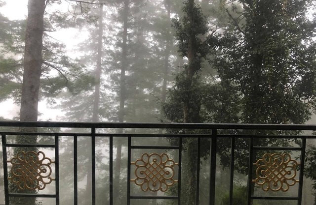 Deodar, A luxury retreat in Mashobra, Shimla, with a view