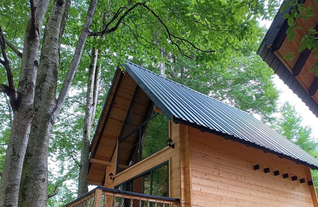 Dere Kenarı Orman içi dağ evi