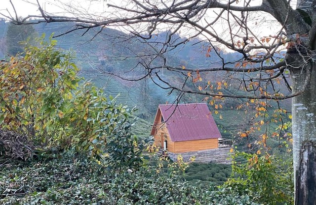 Derepazarı/Rize -Bungalov
