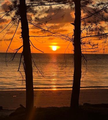 Desaland Tunas Hijau