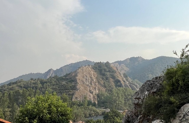 Description of the hotel