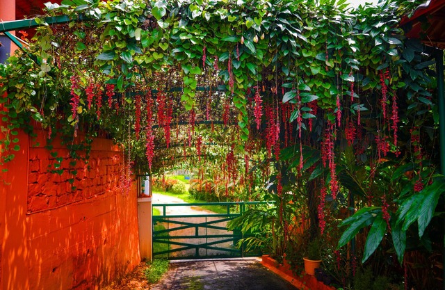 Deva Maani Coorg Nature Holiday