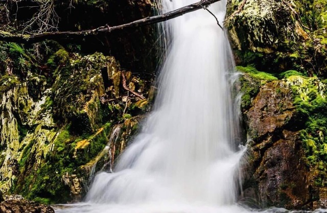 Devonport Serenity - space for the whole family