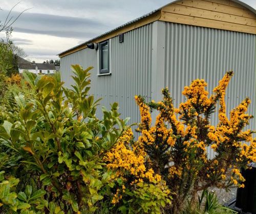 Dingle Way Glamping DANÚ Annascaul