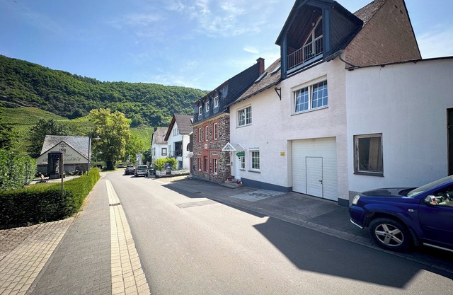 Directly on the Moselle with vineyardsview