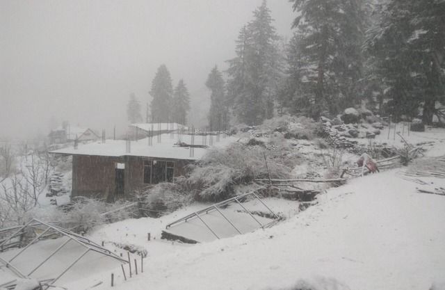 Divine Moments Of Tosh camping and Trekking