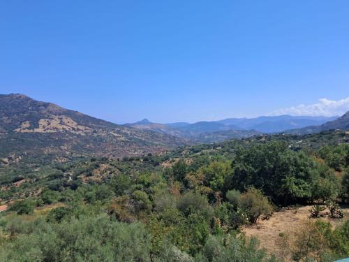 Dolce-Vista