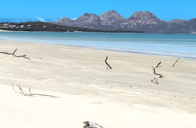 Dolphin Shores - A very private beachfront hideaway with separate games room.