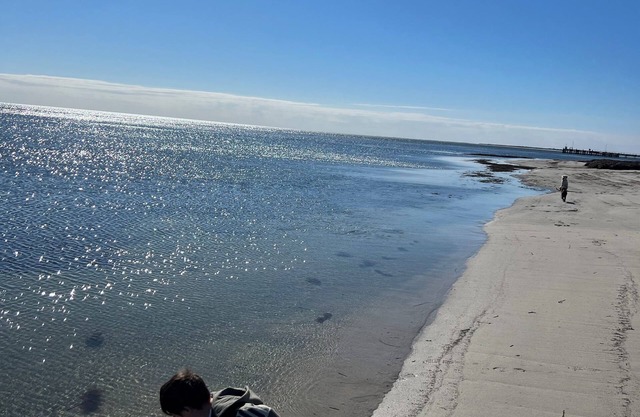 Dolphin Views@ Limestone coast Cape Jaffa Pet friendly. Boat parking Beach Front