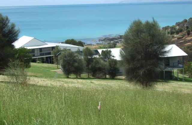 Dolphins Encounter Luxury entire HOUSE