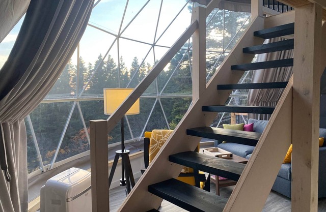 Dome #2 forested at Domaine Renard