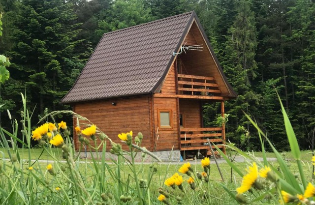 Domek letniskowy Biedówka