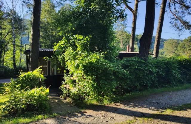 Domek Letniskowy Rożnów-Zapora