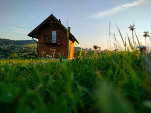 Domek na łąkach