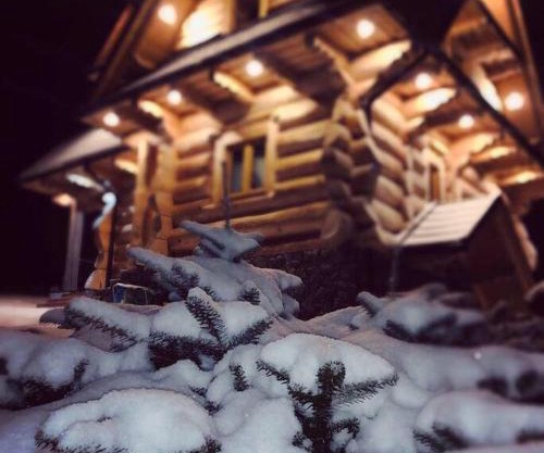 Domek na Wierchu Bukowiny