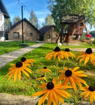 Domki Letniskowe Widokówka Myczków