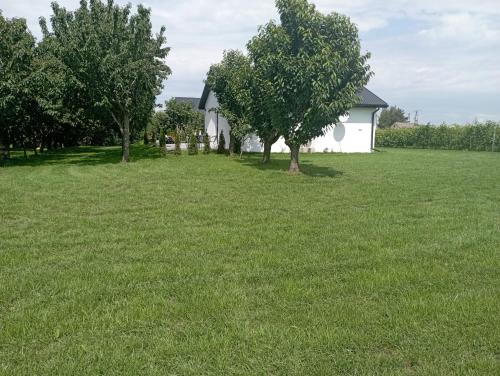 Domki w Winnicy - Świętokrzyska Winnica Knapów