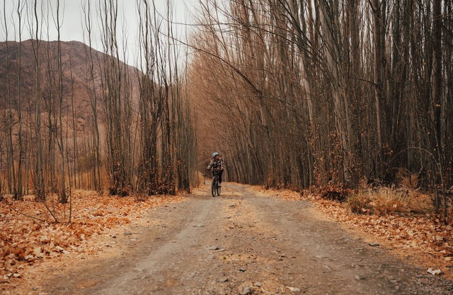 Domos Uspallata - Glamping de Montaña