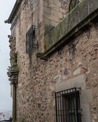 Domus Seleqtia Plaza de Santiago