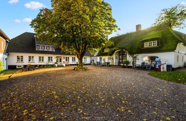 Dornröschen II - thatched roof house, terrace, garden furniture, shower bath, WLAN, TV