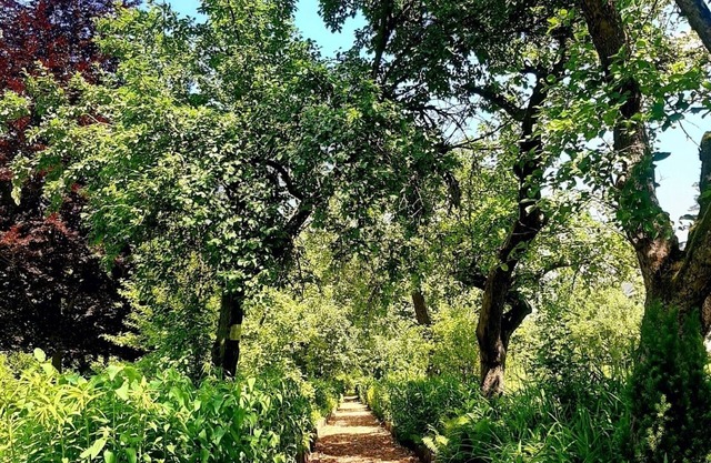 Double room for 2 guests with 18m² in Bad Freienwalde (Oder) (272847)