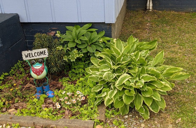 Downtown Bungalow! Dog Friendly - WIFI!