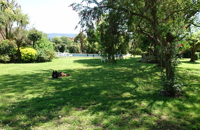 Dream country house with garden