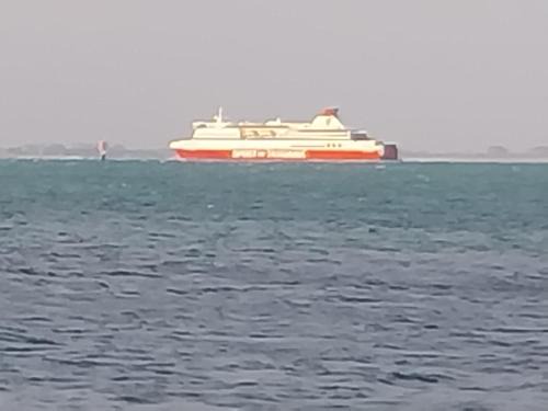 Dreamy Escape Where Romance Blossoms & Pets Play