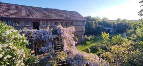 Dreigärten Brodowin