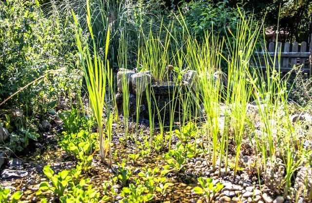 DreiMädelHaus - Restaurant & Hotel