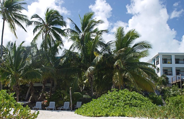 Driftwood Second Floor Condo at Hoopers Bay With Stunning Views