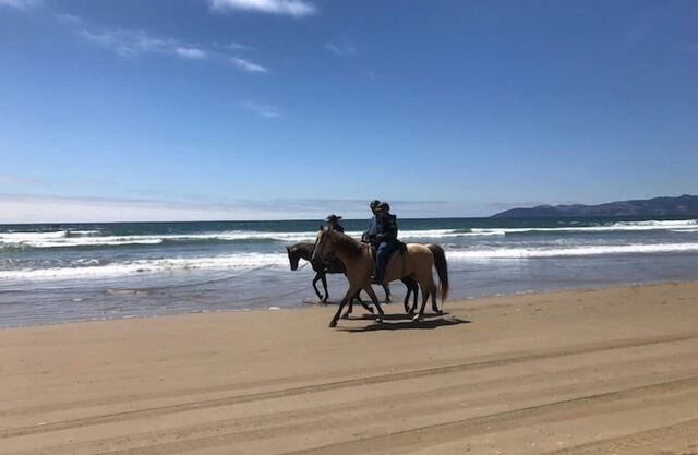 Dune Surfer Inn