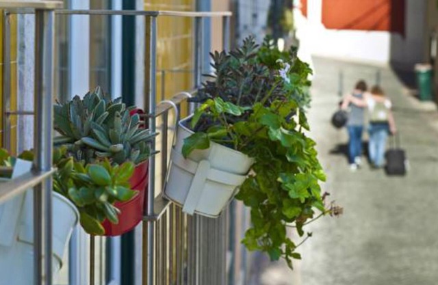 Duque's Apartments - Chiado 19084/AL