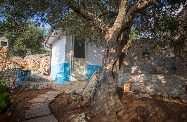 Dwelling ideal for couple sea view surrounded by greenery with double terrace panora