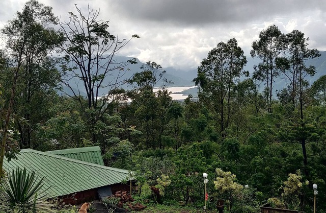 Eagle's Nest - A Nature Retreat