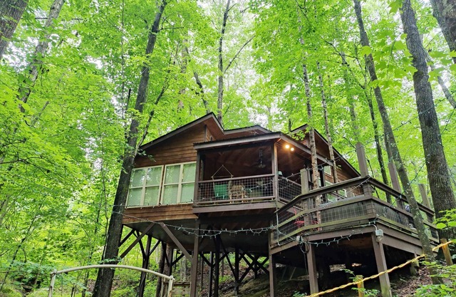 Eagle Treehouse: Hot Tub, Fireplace, and Outdoor Firepit!
