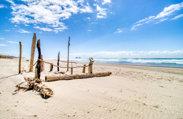 Eight Dog-Friendly Rooms w/Kitchens & Kitchenettes - Walk to Downtown & Beach