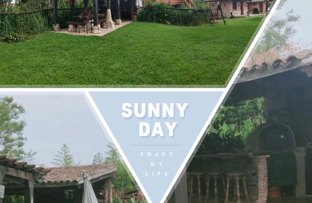 El Rincón de los Patos 1