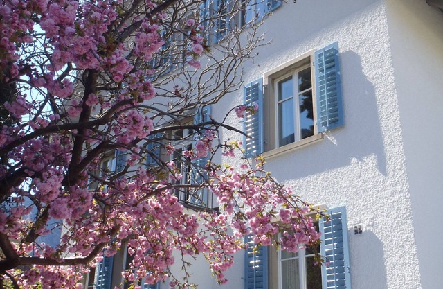 Elegant and spacious 1.5-room apartment (42m2) in an Art Nouveau villa!