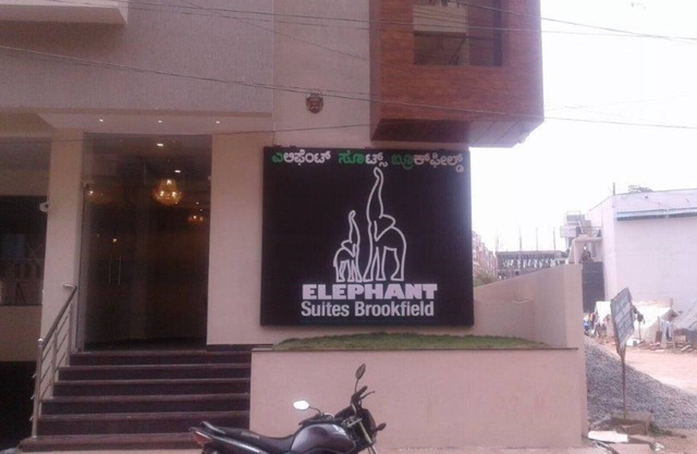 Elephant Suites Brookefield # 3