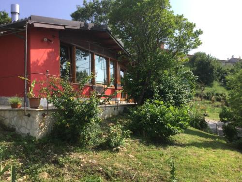 Elisa's house